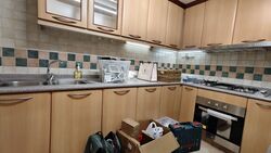 Emerald Garden (D1), Condominium #580785671